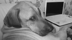 lou's phone photos 107