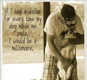 941531_376737609104067_1722729538_n